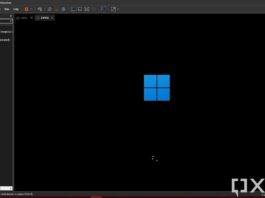 Windows 11