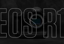 Canon announces the new flagship camera with EOS R1 mirrorless camera